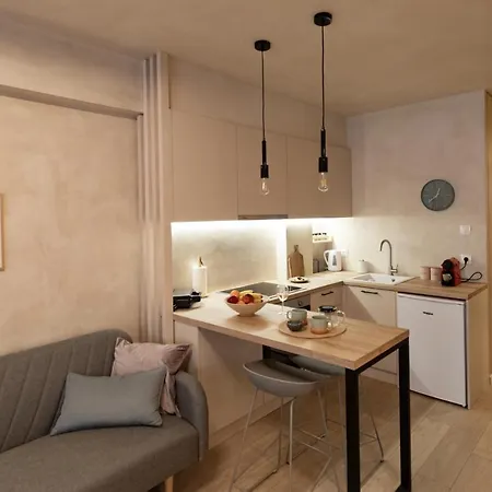 Apartamento Apo-zachari Elegant *